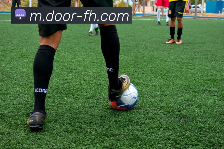 凤凰体育平台生态图